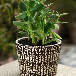Unravel India Brown Ceramic Table Top Planter-36