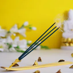 Archies Beige & Blue Incense Sticks with Holder-image-52