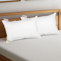 BIANCA Set Of 2 White Solid Medium-Firm Anti Stress Orthopedic Fiber-Pillows-19