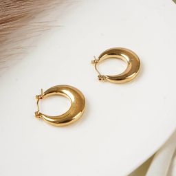 The Cacti Store Contemporary Hoop Earrings-37