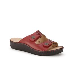 Scholl Women Maroon Leather Open Toe Flats-picture-57