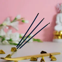 Archies Beige & Blue Incense Sticks with Holder-image-53