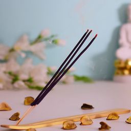 Archies Beige & Blue Incense Sticks with Holder-image-48