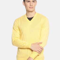 513 Men Yellow Solid Pullover Sweater-image-39