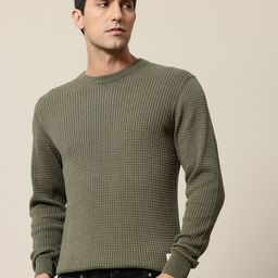 Mr Bowerbird Pure Cotton Self-Design Pullover Sweater-image-73