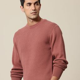 Mr Bowerbird Pure Cotton Self-Design Pullover Sweater-image-18