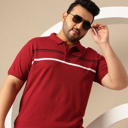 Sztori Plus Size Striped Polo Collar Pure Cotton T-shirt-image-10
