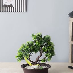 FOLIYAJ Unisex Green & Brown Artificial Bonsai Tree With Artificial Bird And Pot-45