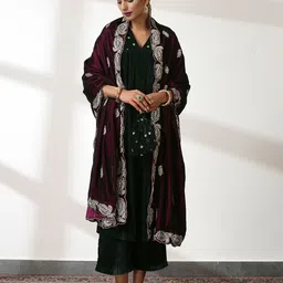 Swtantra Women Velvet Embroidered Winter Shawl-picture-31