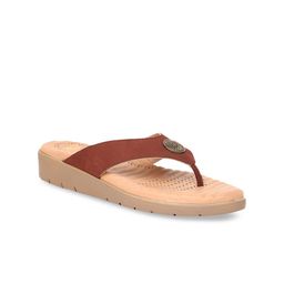 Scholl Women Brown Solid Sandals-47