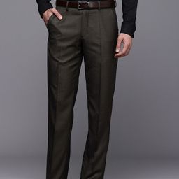 Louis Philippe Men Formal Trousers-image-48