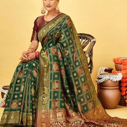 Satrani Embellished Zari Pure Silk Patola Saree-image-23
