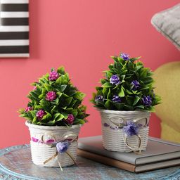 FOLIYAJ Set of 2 Multicoloured Artifical Plants With Pot-image-83