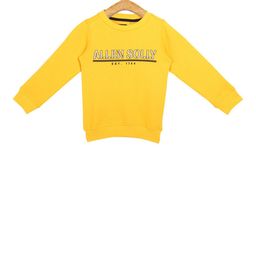 Allen Solly Junior Boys Yellow Printed Sweatshirt-image-33