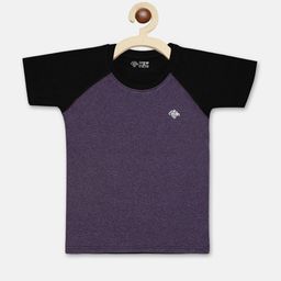 CHIMPRALA Boys Purple & Black Colourblocked Raglan Sleeve Casual T-shirt-image-29