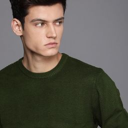 WROGN Men Green Solid Slim-Fit Pullover with Embroidered Detail-image-8