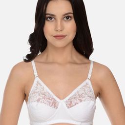 mod & shy White Solid Non-Wired Non Padded Everyday Bra MS09M-image-65