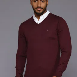 Louis Philippe Solid Pullover Sweater-image-78