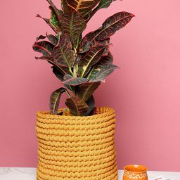 HABERE INDIA Yellow Handmade Rope Planter Cover-image-43