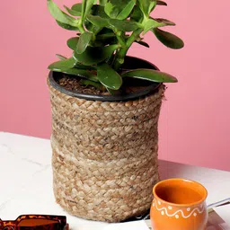HABERE INDIA Beige Jute Handmade Sustainable Planter-picture-27