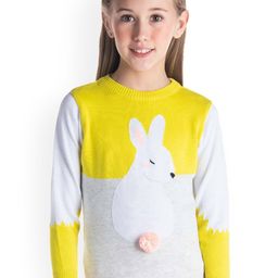 Cherry Crumble Girls Yellow & White Colourblocked Pullover Sweater-image-34