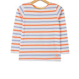 Cherry Crumble Boys Grey & Blue Striped Round Neck T-shirt-image-15