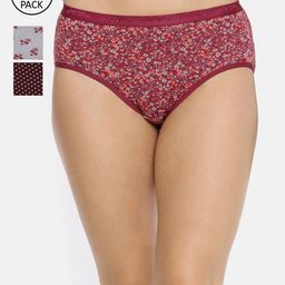Red Rose Women Pack Of 3 Assorted Basic Briefs Sheena-M-image-9