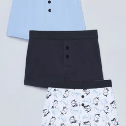 Charm n Cherish Boys Pack Of 3 Pure Cotton Boxers BWBXO40-image-67