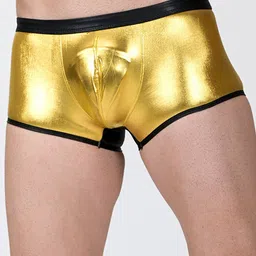 PANTEAZY Shiny Boxer Style Briefs With Contrast details LO-NO243017-BX-G-S-40