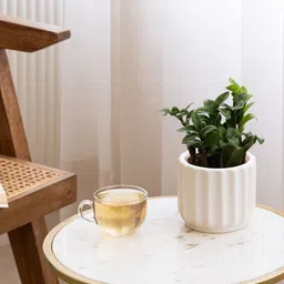 Claymistry White 2 Pieces Textured Ceramic Flower Planter-12