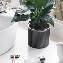 Claymistry Black 2 Pieces Textured Ceramic Flower Planter-image-57
