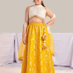 pspeaches Girls Printed Ready to Wear Lehenga & Blouse With Dupatta-picture-30