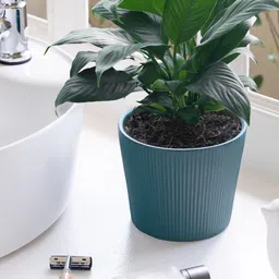 Claymistry Teal-Blue 2 Pieces Textured Ceramic Planters-20