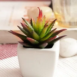 PolliNation Green Purple Set of 2 Artificial Succulent Plant With White Ceramic Pot-7