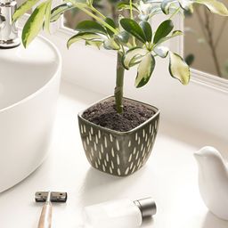 Claymistry Green and Beige Textured Ceramic Flower Planter-image-44