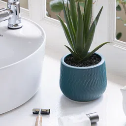 Claymistry Sea Green 2 Pieces Textured Ceramic Flower Planter-17
