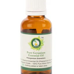 R V Essential Pure Geranium Essential Oil For Moisturization & Nourishment- 15 ml-image-18