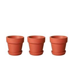 The handicraftian Brown 3 Pieces Large Gamala Planters With Plate 7.5 Inch Set of 3-image-6