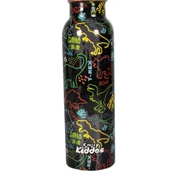 Smily Kiddos Kids Black & Yellow Dare Dino Printed Copper Water Bottle 750 ml-66
