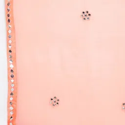 Clora Creation Peach-Coloured & Silver-Toned Embroidered Dupatta image 5