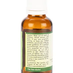 R V Essential Pure Ginger Essential Oil - 50 ml image 3