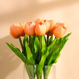 Elemntl Beige 5 Pieces Tulip Core-56