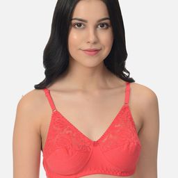 mod & shy Assorted Pack of 3 Non-Wired Non Padded Everyday Bra MS505254 image 5