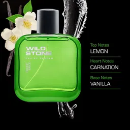 Wild Stone Men Set Of 3 Forest Spice Perfume 100 ml each image 3