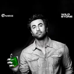 Wild Stone Men Set Of 3 Forest Spice Perfume 100 ml each image 4