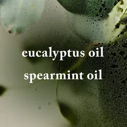 Bath & Body Works Eucalyptus Spearmint Luxe Bath Shower Gel with Vitamin E - 445ml image 2