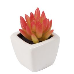 PolliNation Red Yellow Set of 2 Artificial Succulent Plant With White Ceramic Pot image 5
