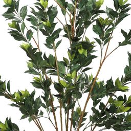 PolliNation Green Artificial Ficus Plant image 2