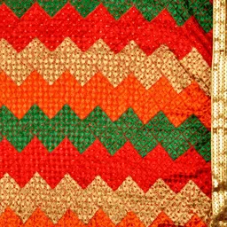 Dupatta Bazaar Multicoloured Embroidered Dupatta image 2