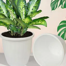Kuber Industries Set of 4 White Textured Planter image 3